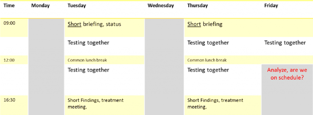 Projecttop testing schedule - days